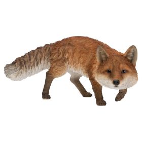 Real Life Prowling Fox - B